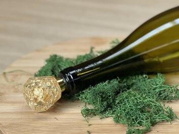 Epoxy fleskurk Golden Flakes