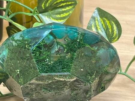 Theelichthouder Green Stone - Reindeer moss