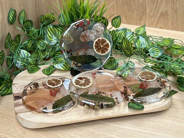 Set Hexagon coasters 4st. Nature love 