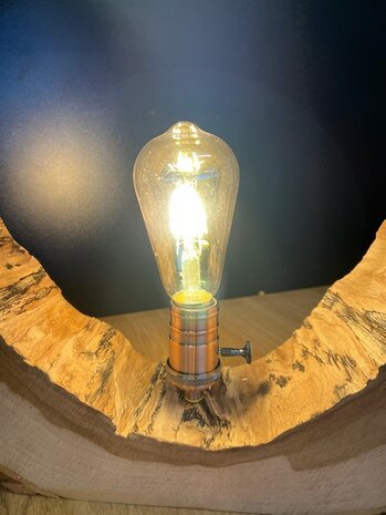 Lamp in uitgeholde iepe boomschijf met rose messing lamphouder 